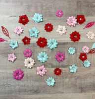 Amarylis Flower Set