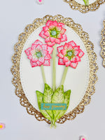 Amarylis Flower Set