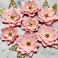 Amarylis Flower Set