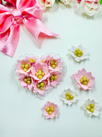 Amarylis Flower Set